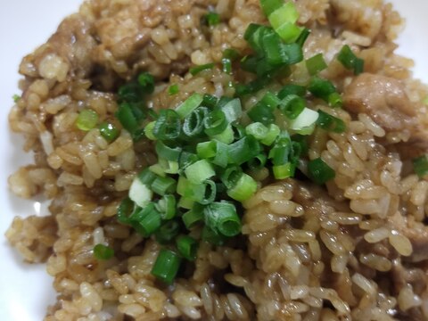 男のソース焼き飯